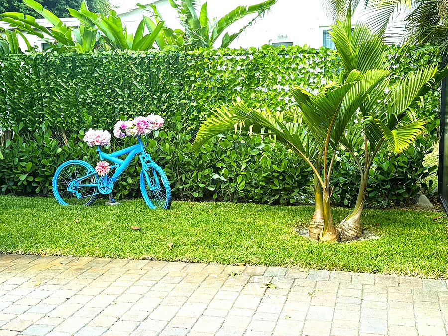 Furnished Finder property 767864_1 photo 25