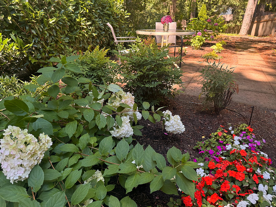 Blooming flowers in spring and summer