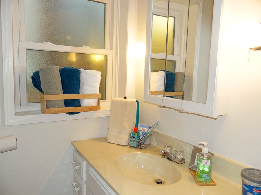 Lower level full bathroom