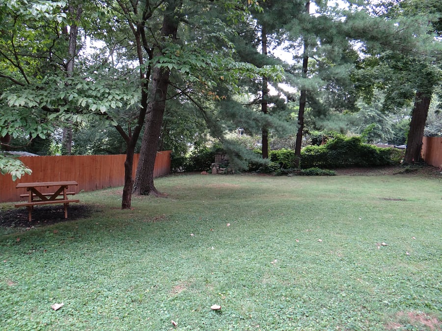 Large backyard with expansive shade trees.