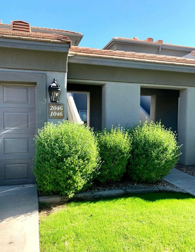 Driveway and path to entrance