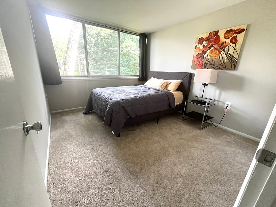 Furnished Finder property 768128_1 photo 29