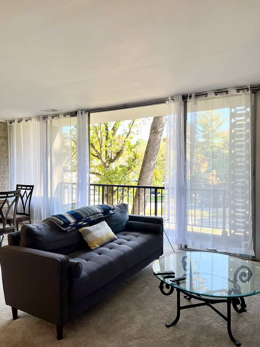 Furnished Finder property 768128_1 photo 9