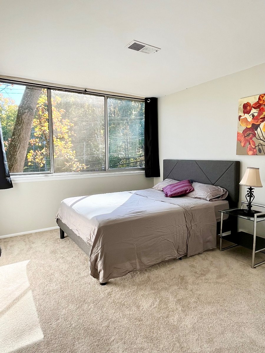 Furnished Finder property 768128_1 photo 17
