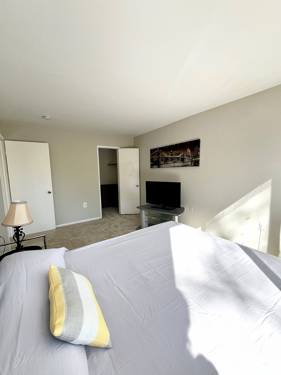 Furnished Finder property 768128_1 photo 20