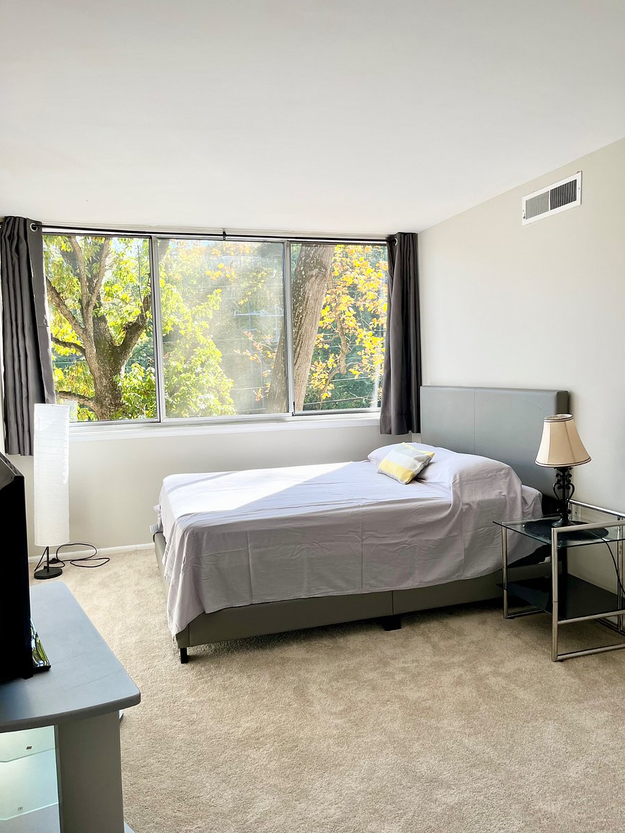Furnished Finder property 768128_1 photo 23