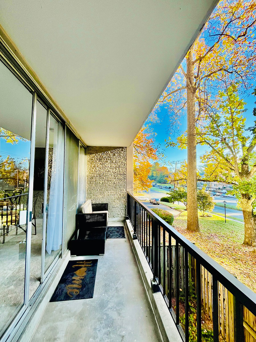 Furnished Finder property 768128_1 photo 36