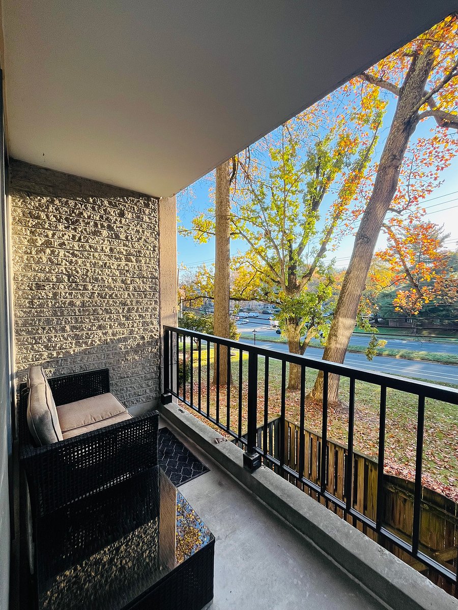 Furnished Finder property 768128_1 photo 38