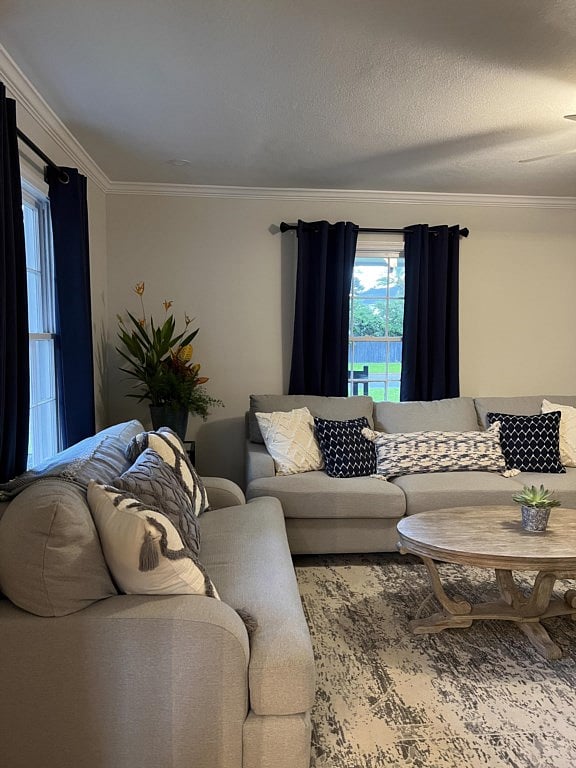 Furnished Finder property 768243_1 photo 4
