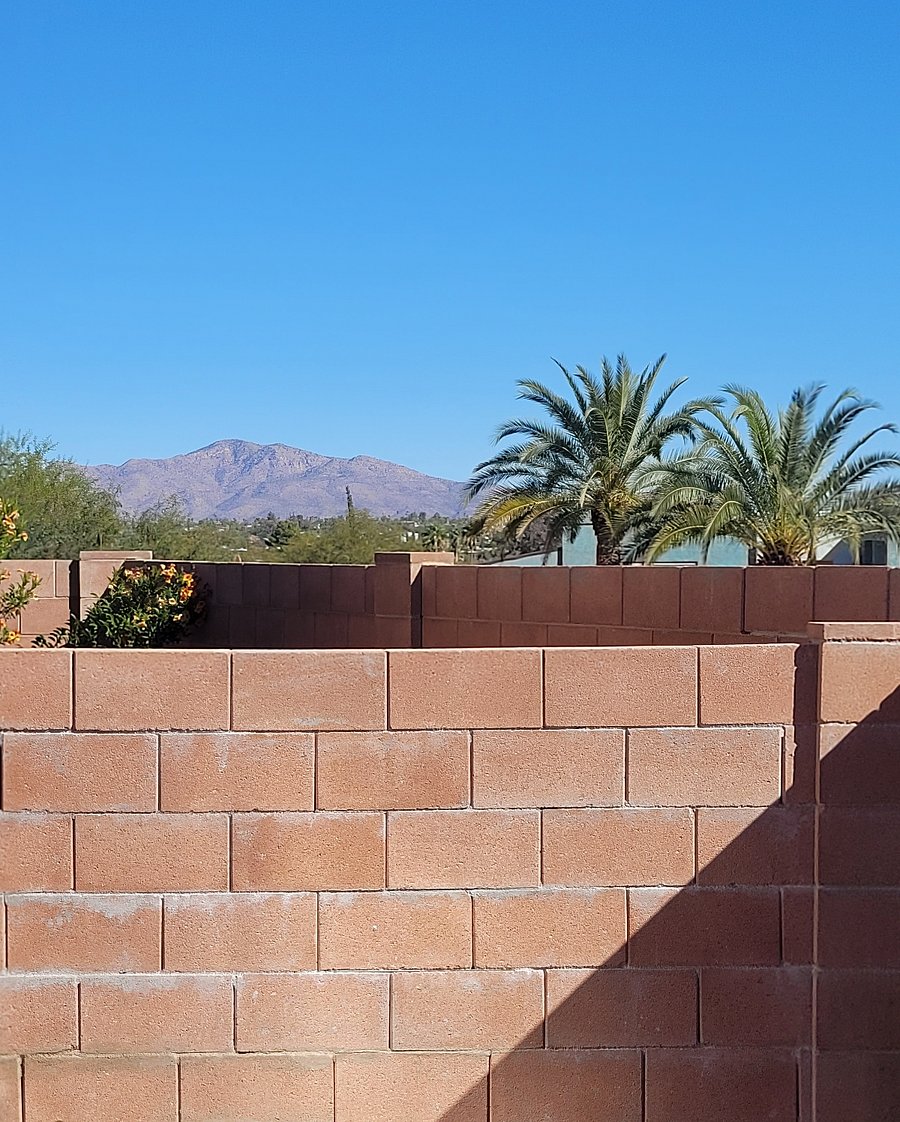 View from the outdoor dining area.