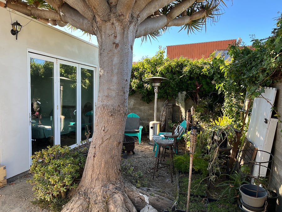 Furnished Finder property 768268_2 photo 12