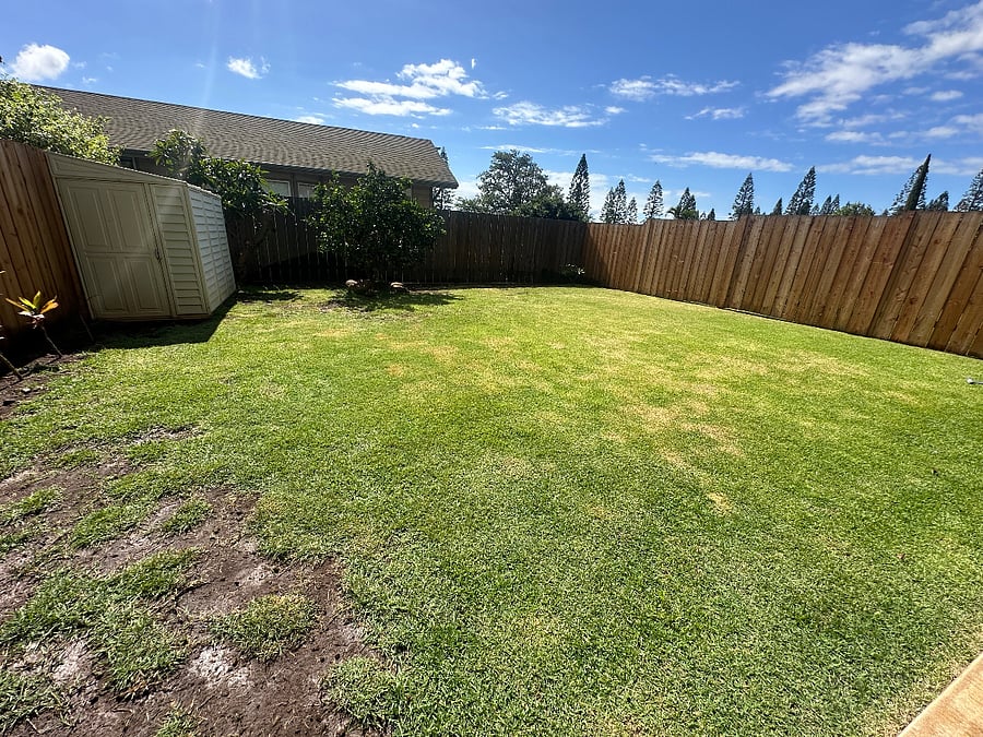 Furnished Finder property 768399_1 photo 4