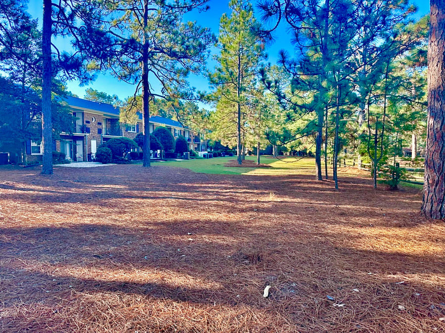 Furnished Finder property 768780_1 photo 11