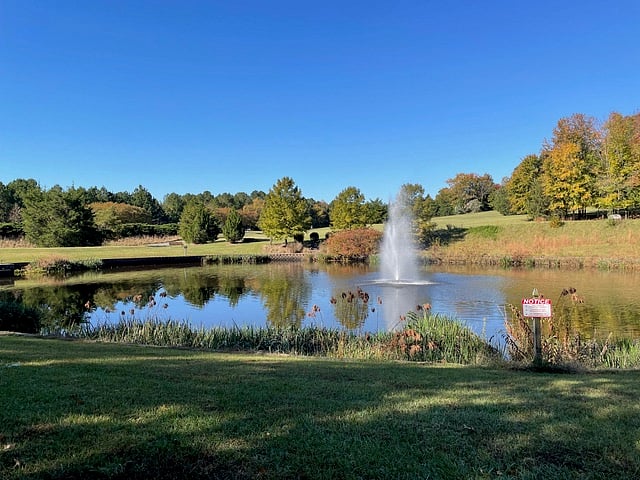 Along the walking trail