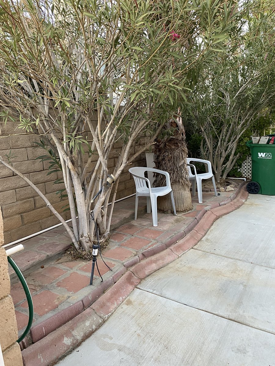Furnished Finder property 769023_1 photo 13