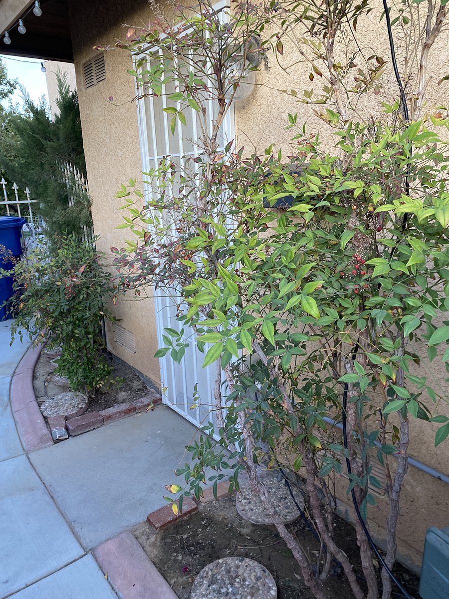 Furnished Finder property 769023_1 photo 14