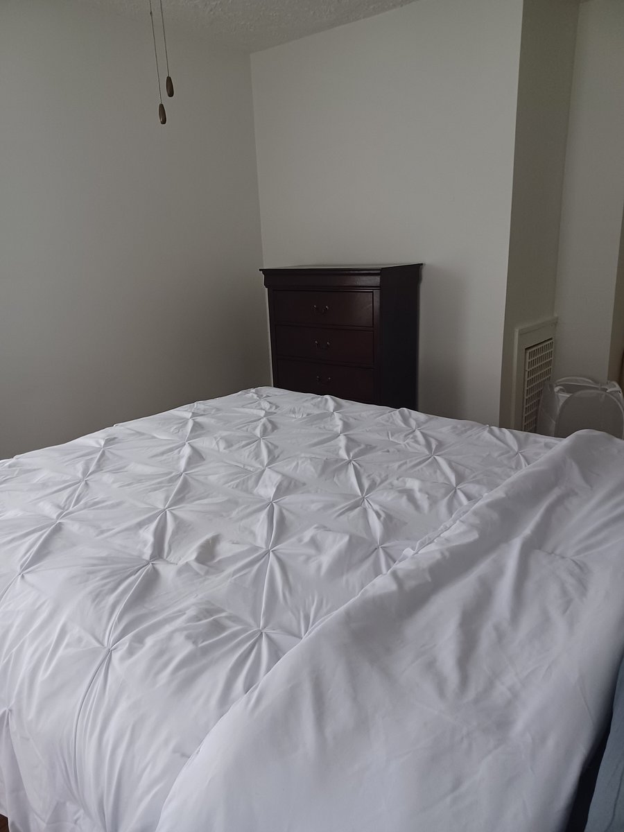 Furnished Finder property 769095_2 photo 12
