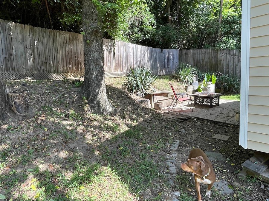 Quiet and comfortable backyard.