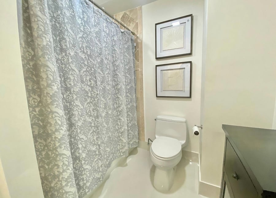 Guest bathroom 