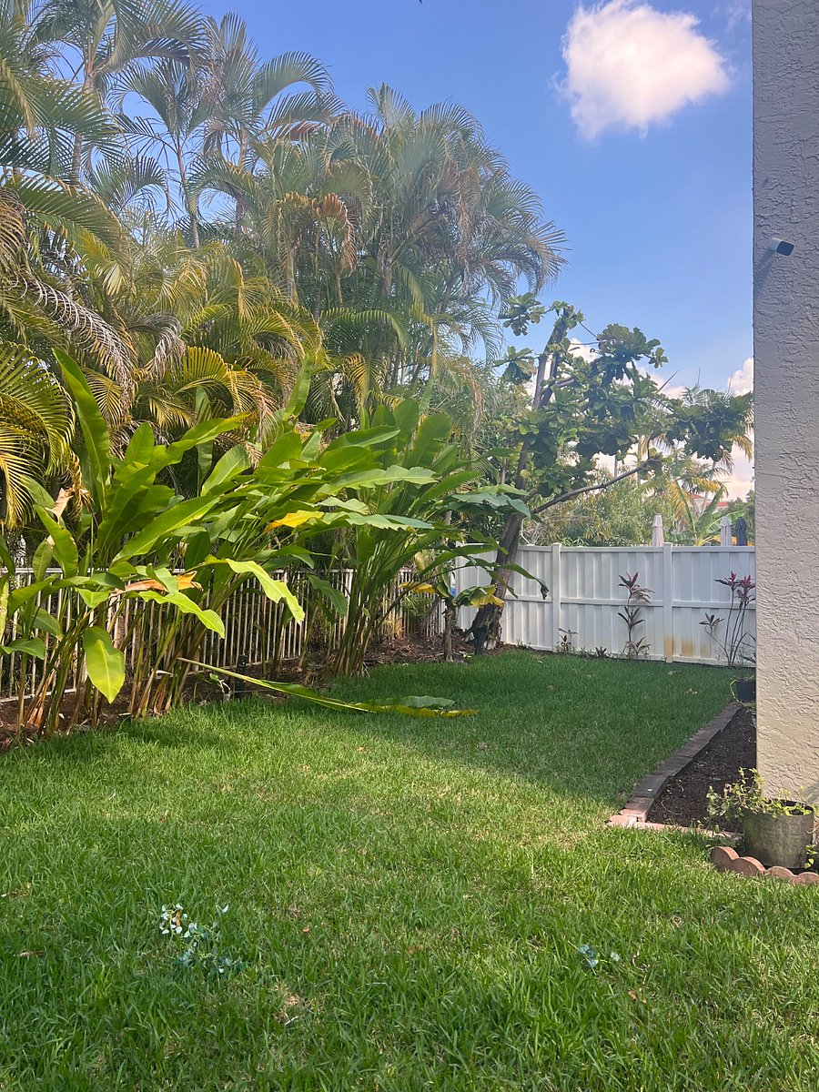Furnished Finder property 769170_1 photo 11