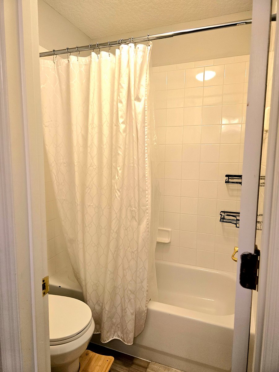 Furnished Finder property 769199_1 photo 22