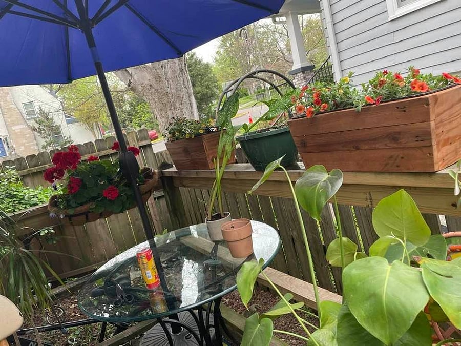 Furnished Finder property 769222_1 photo 3