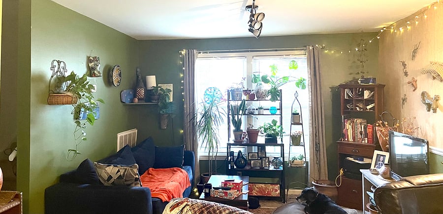 Furnished Finder property 769222_1 photo 6
