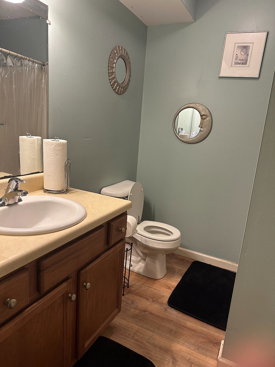 Furnished Finder property 769255_1 photo 6