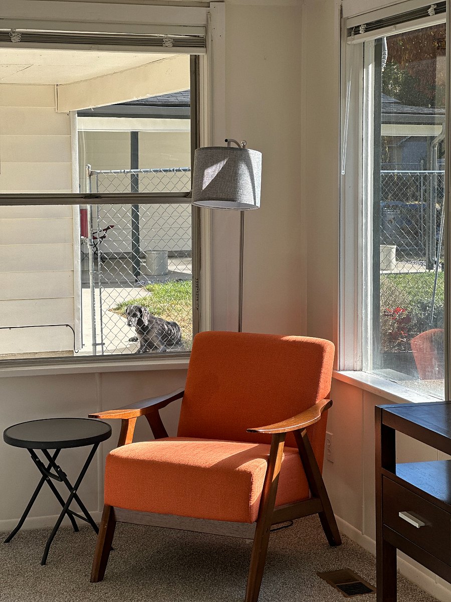 Furnished Finder property 769464_1 photo 7