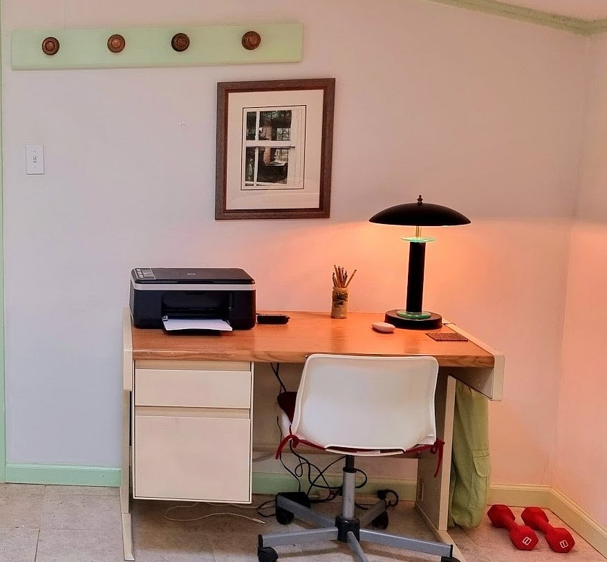 Study area