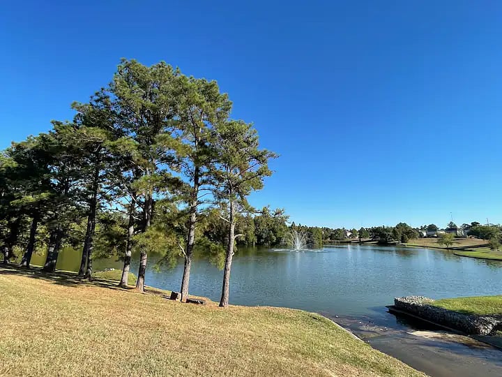 Furnished Finder property 769660_1 photo 29