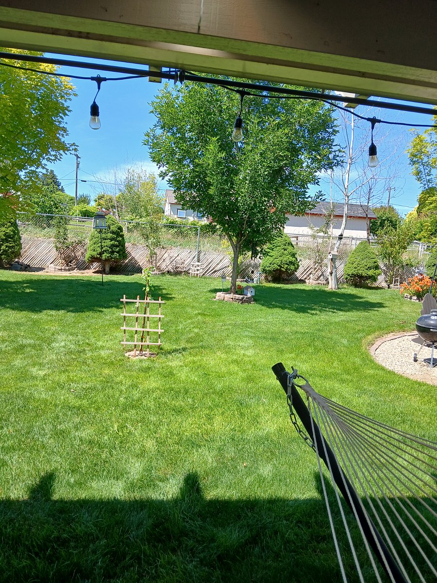 Furnished Finder property 769953_1 photo 4