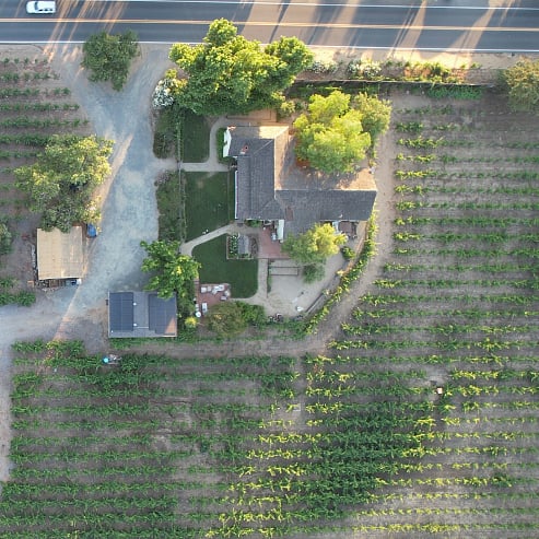 Vineyard on three sides