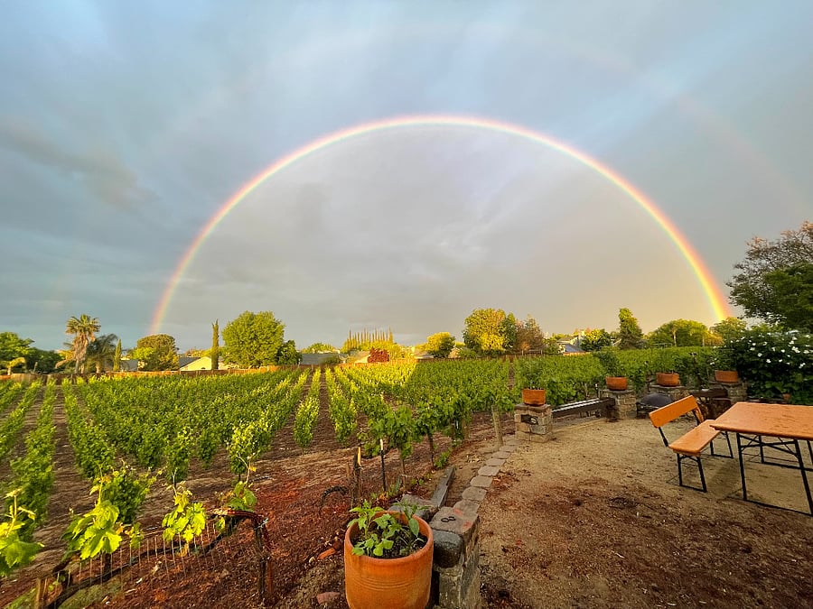 Vineyard views from outdoor terraces and dining area