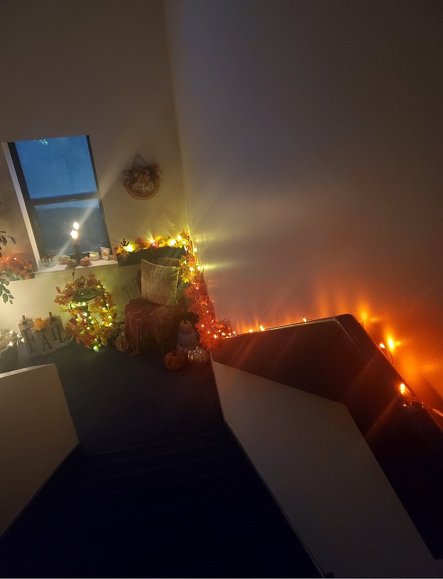 Furnished Finder property 770144_1 photo 14