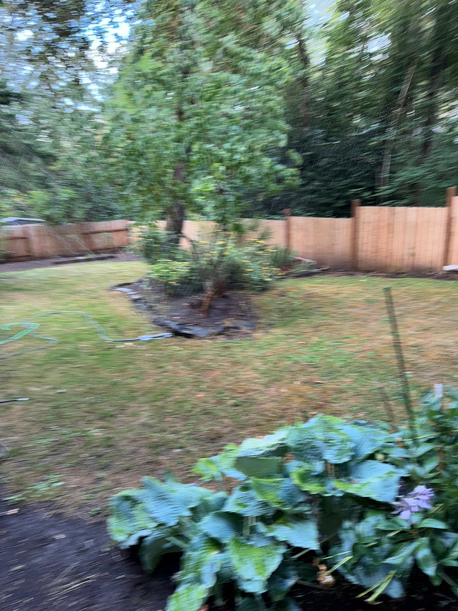 Furnished Finder property 770336_1 photo 23