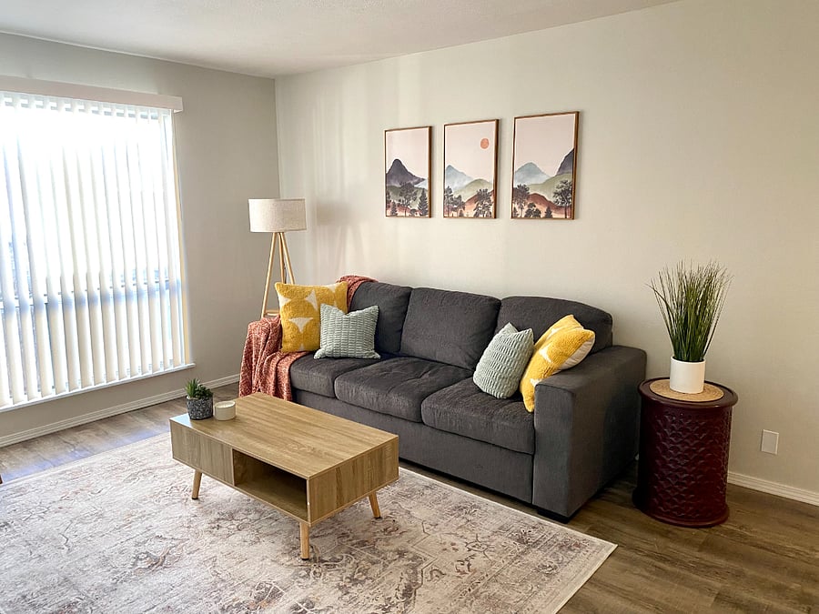 Sofa pulls out into a queen bed if you have guests