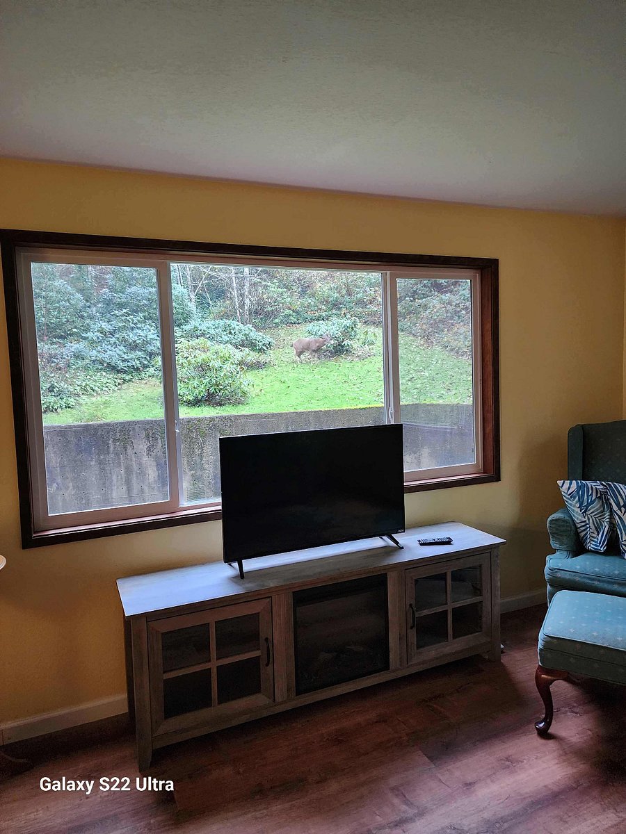 Furnished Finder property 770358_1 photo 4