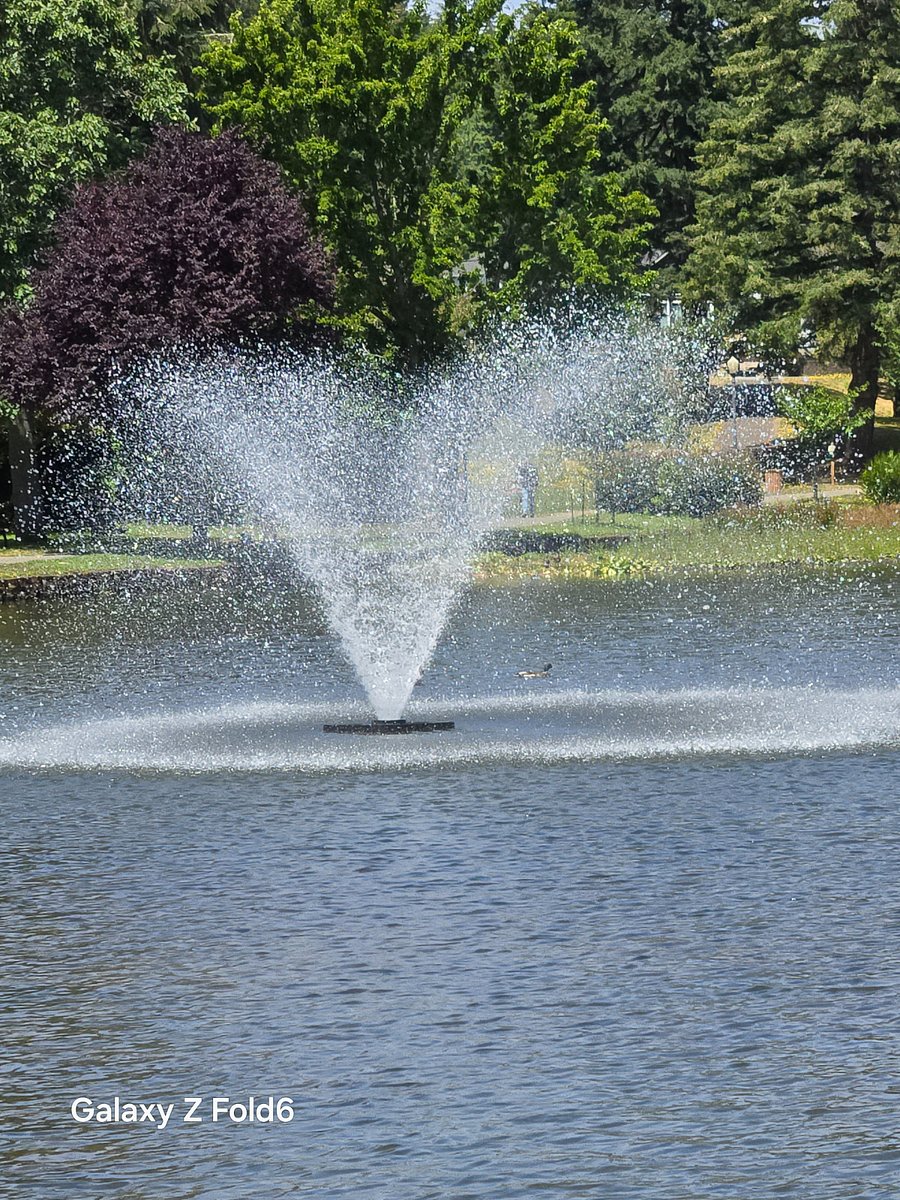 Mingus Park