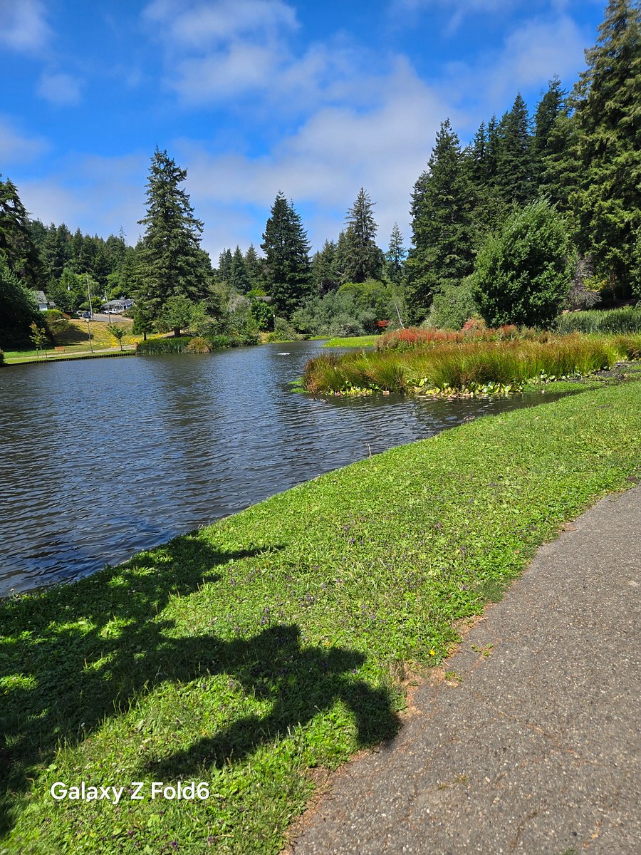 Mingus Park