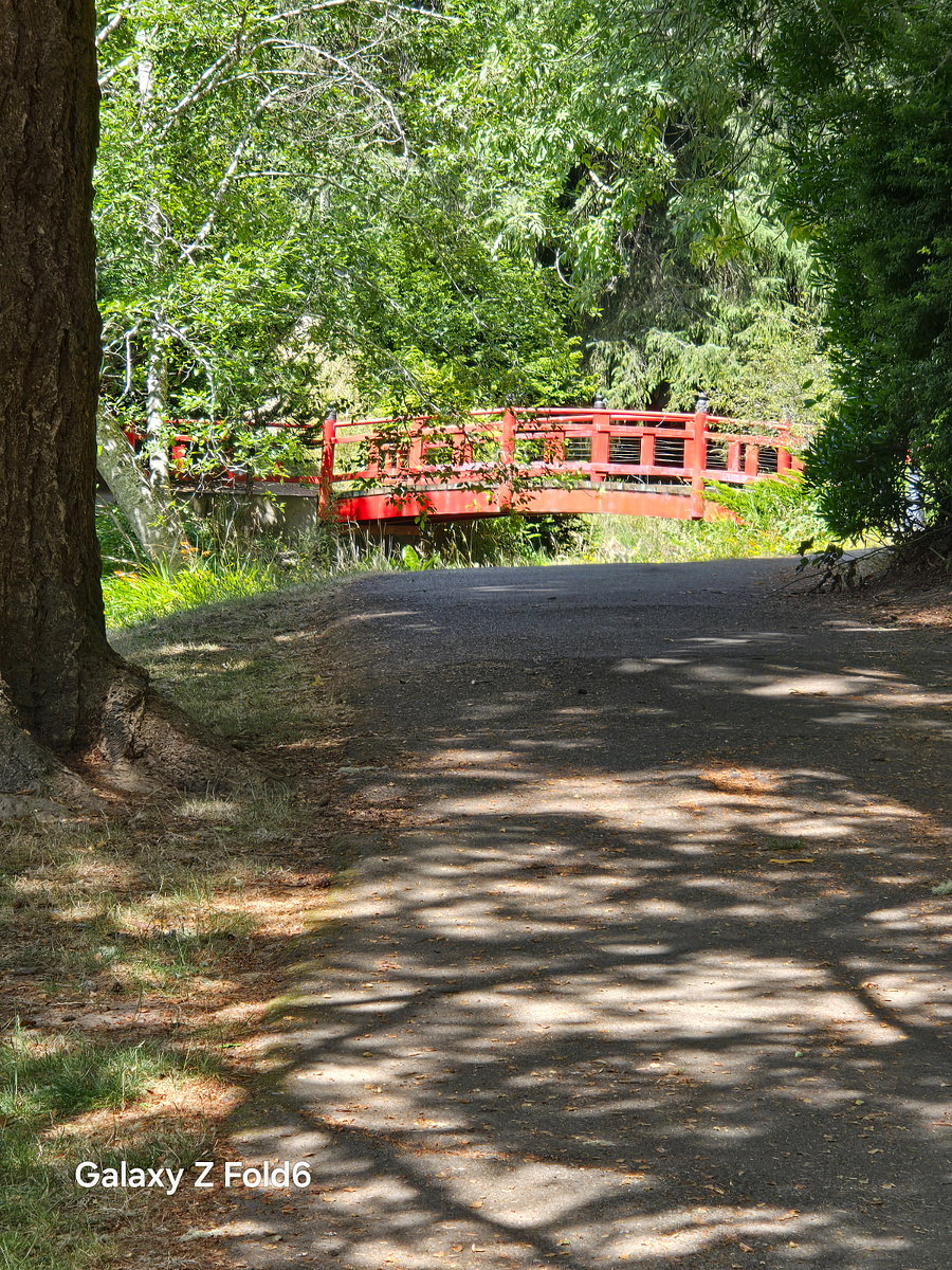 Mingus Park