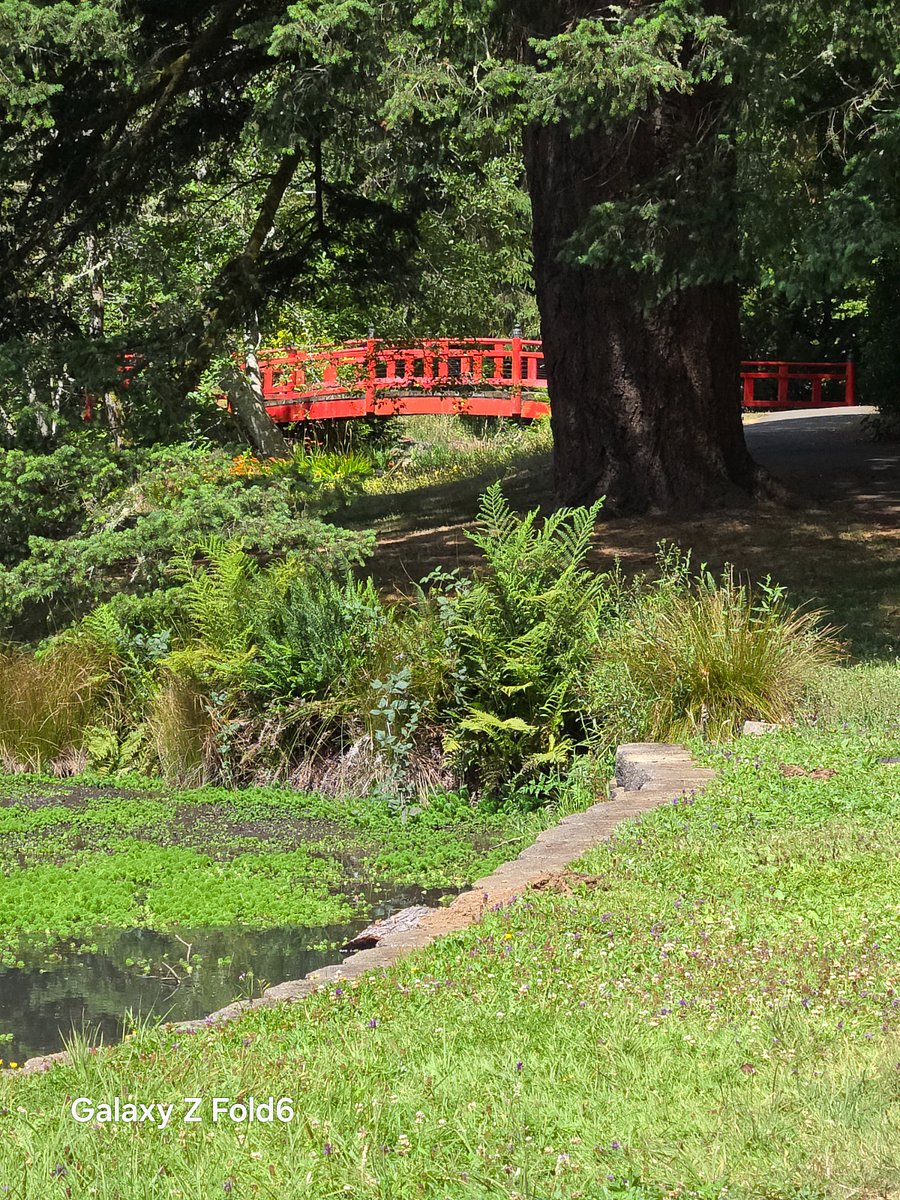 Mingus Park