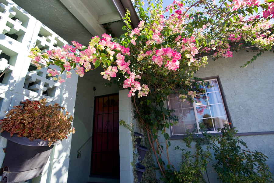 Furnished Finder property 770397_2 photo 23