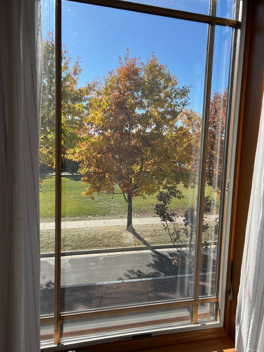 Furnished Finder property 770460_1 photo 6