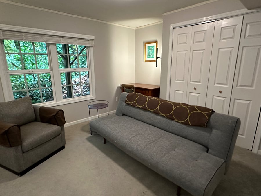Living Room Sleep Sofa and desk (workstation)
