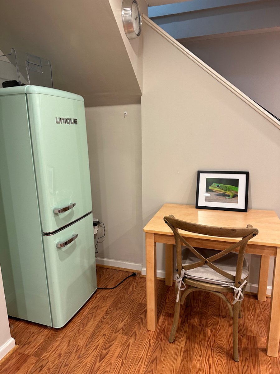 Fridge and Eating area