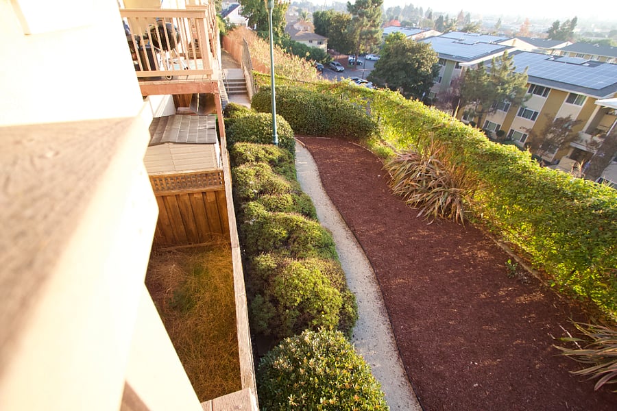 Take a nice walk to get some fresh air! Many pet owners walk their pets here.