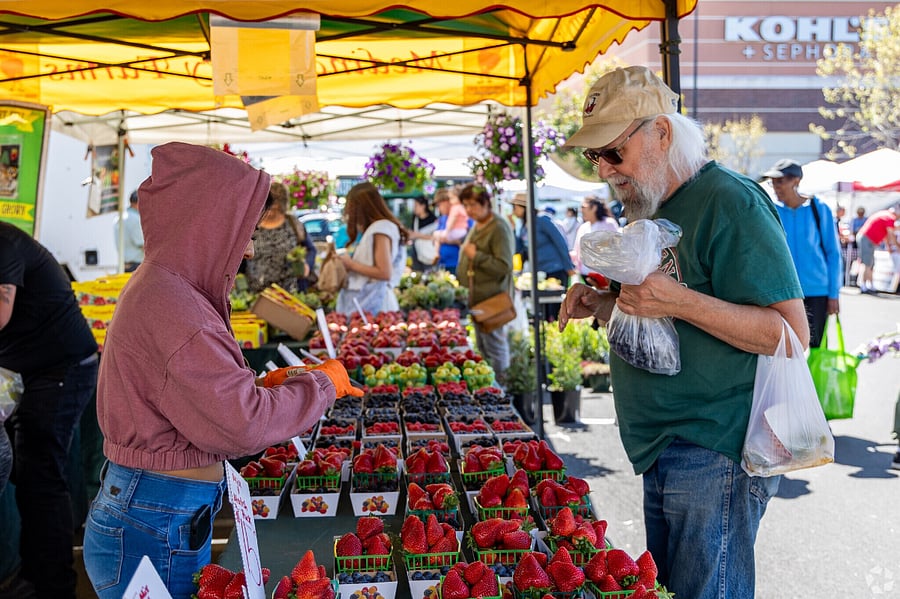 Locals shopping for fresh produce at the Bayfair Farmers' Market on Saturdays