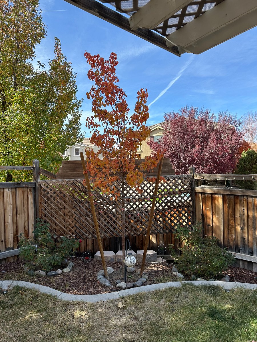 Furnished Finder property 770773_1 photo 16