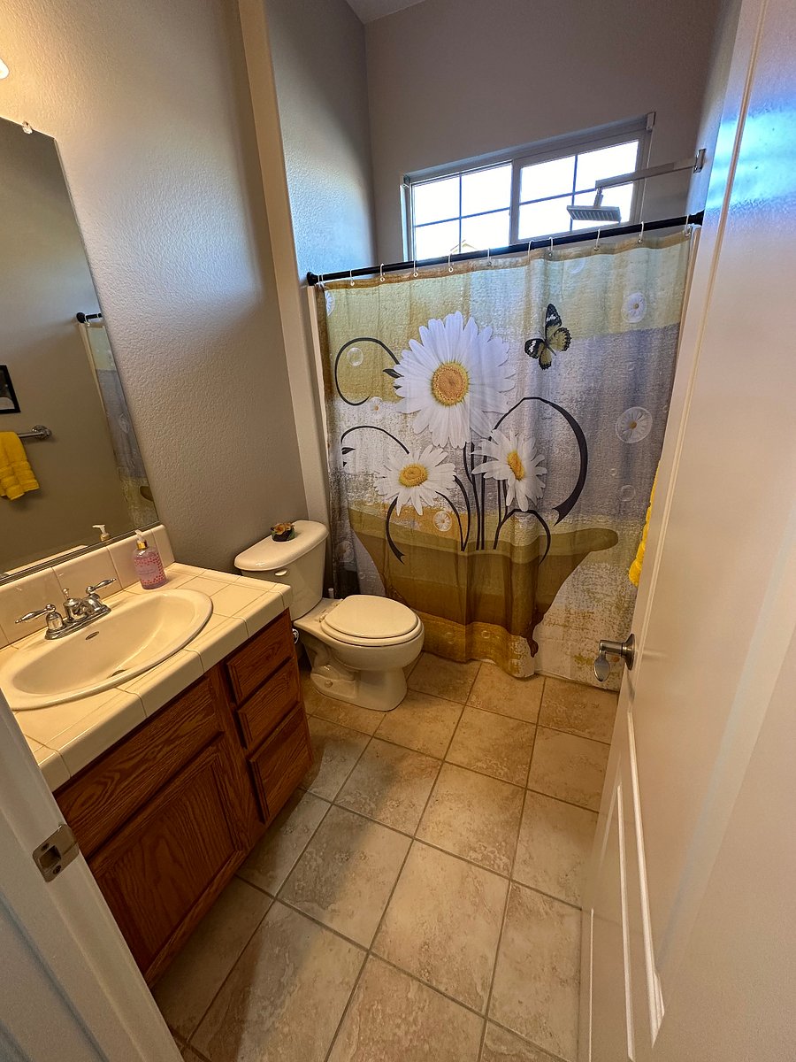 Furnished Finder property 770773_1 photo 12